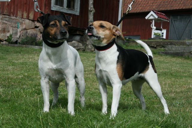 Ebbe och Wilda 090726