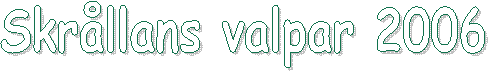 Skr�llans valpar 2005